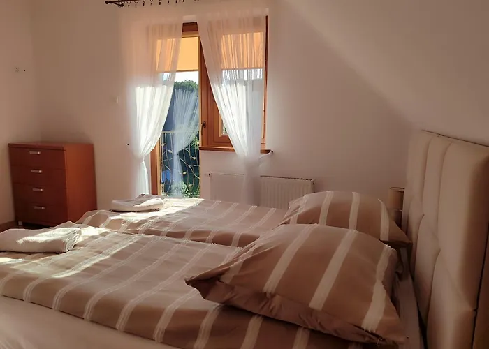 Pod Kosarkami 什恰夫尼察